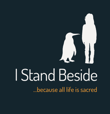 I Stand Beside